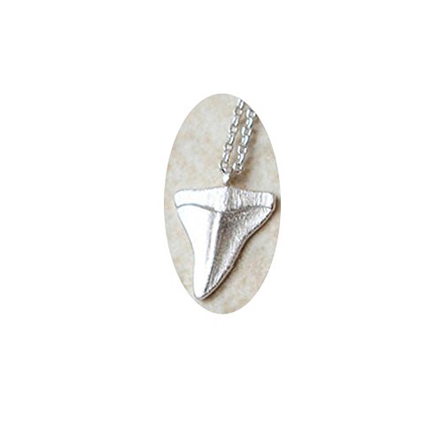 WLLAY Fashion Shark Tooth Pendant Necklace For Women Beach Jewelry Long Chain Necklace (silver)