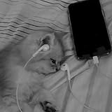 Grupo Pascal Music / Derechos Reservados by Miguel Pascal LLC