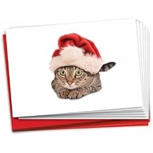 The Best Card Company - 12 Cat Christmas Greeting Cards - Cute Boxed Notecard Set, Holiday Animal Cards with Envelopes 1 Design, 12 Cards - Santa Cats Green Eyed B6687AXSG