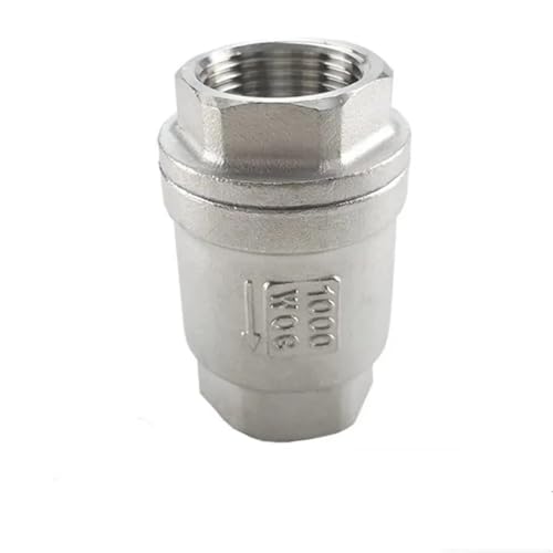 Válvula de retención DN20 BSPT vertical en acero inoxidable SS304 con resorte de elevación 3