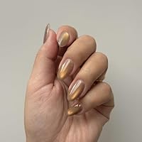 Amazon.co.jp: irogel イロジェル マグネット ポリッシュタイプ