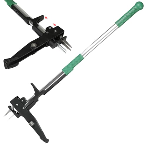 Taylor & Brown Weed Remover Tool 4 Claws High-Strength Stainless Steel - 1m Long Handle Stand-up Gardening Weed Puller, Ergonomically Designed to Easily Remove Weeds Without Bending or Kneeling