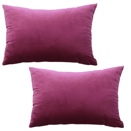 GONOVE Cushion Covers 30x50cm Decorative Modern Throw Pillow Case Pack of 2 Velvet Soft Pillow Cushion Covers Rose Red Pillowcase for Livingroom Sofa Bedroom