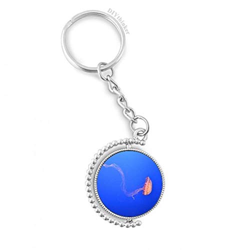 Méduse anneau porte-keyholder rotatif photo nature science multicolore