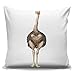 Fundas De Cojín Avestruz Funda De Almohada Sencillo Throw Pillow Case para Sofá, Patio, Jardín, 45X45Cm