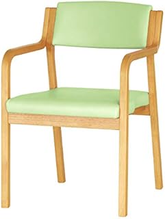 貞苅椅子製作所 ダイニングチェア 肘付き 高齢者 介護施設 立ち上がり易い 完成品 Care-116-AC (GR(グリーン))