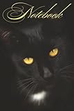 black cat notebook – 100 college ruled pages | cute cat lover journal, writing notebook, cat-themed gift for women, teens & students