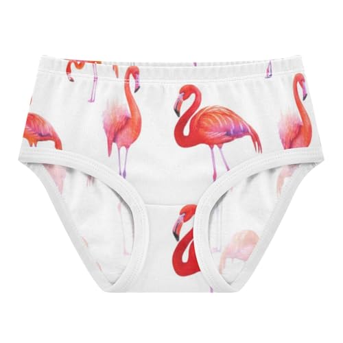 Fancy Toddler Girls Underwear 2t Cotton Panties for Girl Flamingos Poses White Pink Briefs Girls Undies
