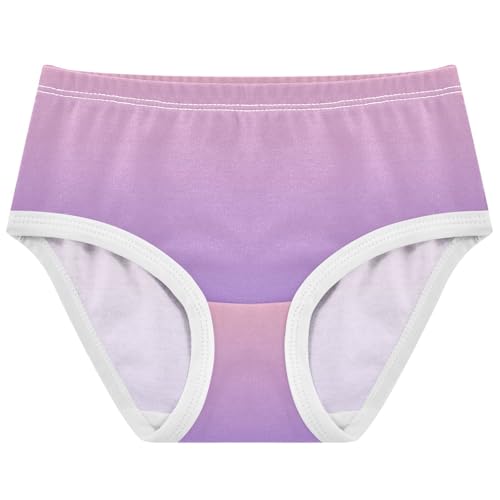 Joisal Toddlers Underwear Floral 2t Cotton Girl Panties Cute Pattern Briefs Kids Undies Blush Pink Medium Purple Gradient