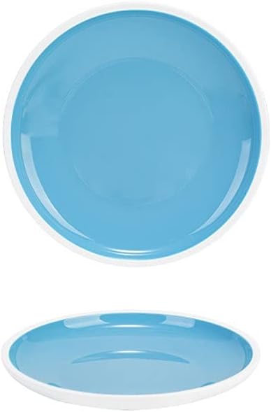 xinxinchaoshi Platos Llanos Placas de Cena de melamina Platos de Cena Redondos Grandes para Uso en Exteriores y al Aire Libre Lavavajillas Safe (Gris y Azul Claro) Platos de Ensalada