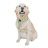 Sassy Woof Dog Adjustable Harness - Disney Princess Snow White - XL, Breathable Mesh, No Pull Design with Two D-Rings, Patented Design, Perfect for Extra Large Dogs - Officially Licensed