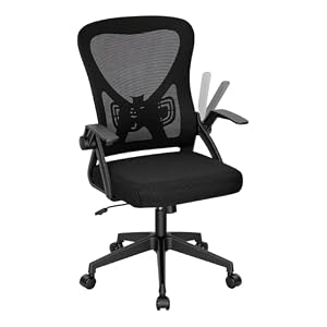 WOLTU Chaise de Bureau Ergonomique, Chaise Pivotante à roulettes, Noir