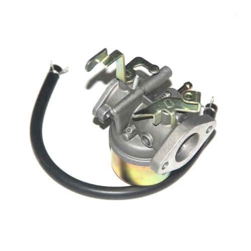 Carburateur EW400TR RGX5500 à régulation stable de rechange 224-62342-10