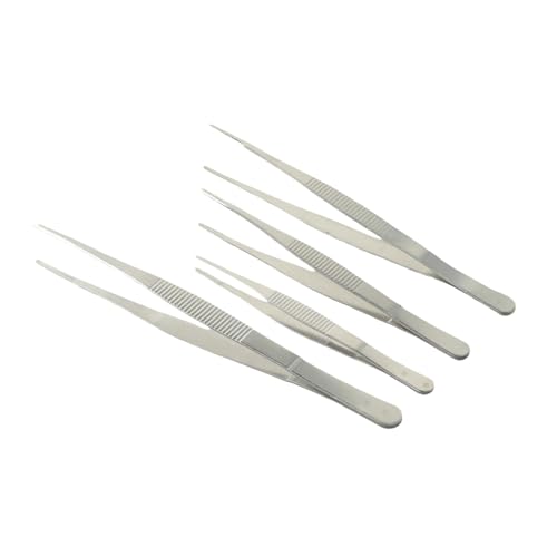 Pinzas para barbacoa de acero inoxidable para restaurante y buffet con pinzas Churrasco Clip para alimentos resistente a la parrilla de barbacoa (25 cm)