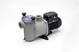 Bomba para Piscina 0,25 CV Autoaspirante 6.000 l/h
