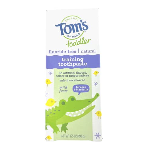 Dauntless Merch Easy To Grip Baby Toothbrush, And Fluoride Free Toddler Training Toothpaste, Mild Fruit Flavor, 1.75 Oz. Starter Set. #TOP2