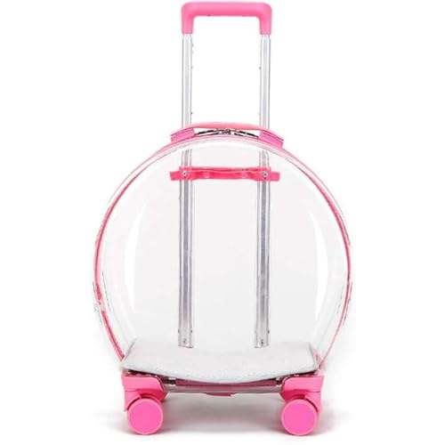 Oanawy ybgpL[obO ybgpobO @\ Lp  ʋC Lknh gїp gю LpobO X[cP[X^ (sN)