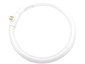 Full Spectrum Bulb - T4 12W 6400K - Simulates Natural Daylight Circline Fluorescent