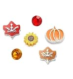 Cherityne Fall/Autumn Themed Set of 6 Floating Charms for Locket Pendants