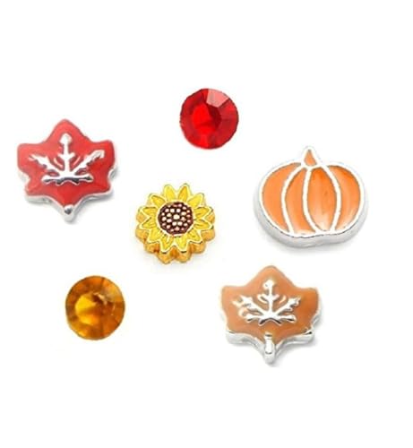 Cherityne Fall/Autumn Themed Set of 6 Floating Charms for Locket Pendants