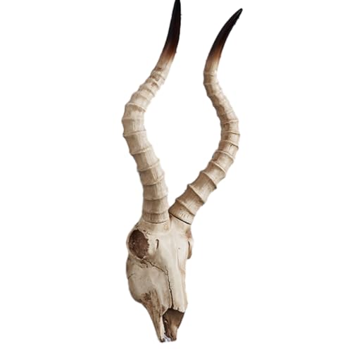 Decoración Mural con cráneo de Vaca y Cuernos de Toro de imitación de Cuernos Largos, taxidermia (C)