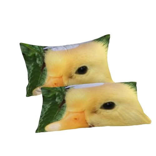 Housse de couette King microfibre à imprimé 3D haute définition Animaux Land - 7