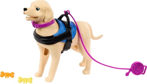 Barbie, Boneca Articulada com Cadeira de Rodas, Cão de Serviço e Acessórios