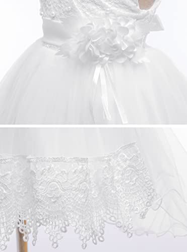 Lzh Baby Toddler Lace Dress Girls First Baptism Elegant Embroidery Wedding Party Flower Bridesmaid Dresses Up, C-White, 18M(12-18 Months) #TOP5