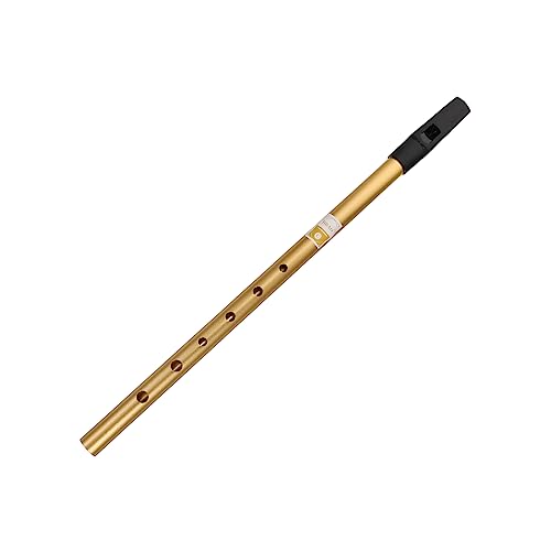 TOGEVAL Recorder Instrument Professional Clarinet Made of Aluminum Alloy Smooth Surface for Boys and Girls