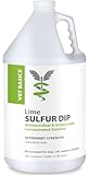 Vet Basics Lime Sulfur Dip – Skin Itch Relief Concentrated Antimicrobial & Antiparasitic Solution for Dogs, Cats, Puppies, Kittens & Horses, Helps Manage Ringworm, Mange, Skin Irritation, 1 Gallon