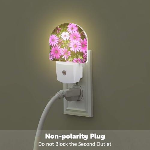 Image of Purple Daisies Flowers Night Light, Beautiful Blooming Daisy Dusk to Dawn Night Light Plug in,0.5w Energy Saving Sleep Friendly NightLight for Kids Boys Girls Home Decor