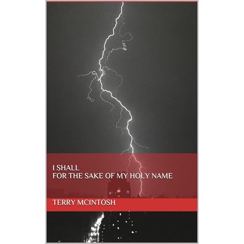 I Shall for the sake of my Holy Name Audiobook By Terry McIntosh cover art