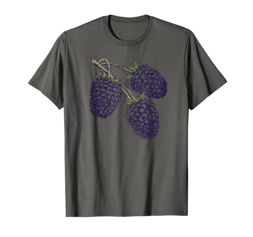 Photo de Blackberries - Illustration de fruits antiques - Graphique sans mots T-Shirt