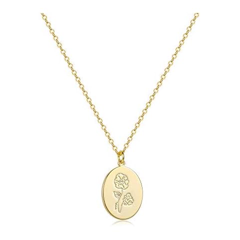 S.J JEWELRY 14K Gold Plated Guardian Flower Necklace Disc Coin Pendant Personalized Gift for Women Girls 12 Months Constellation Birthday Lucky Flower Necklace Cover