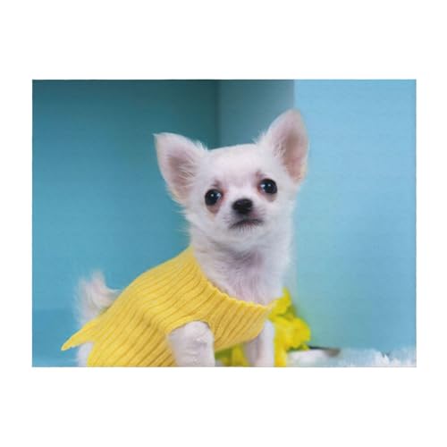 Couverture lit microfibre chihuahua légère et douce pour canapé