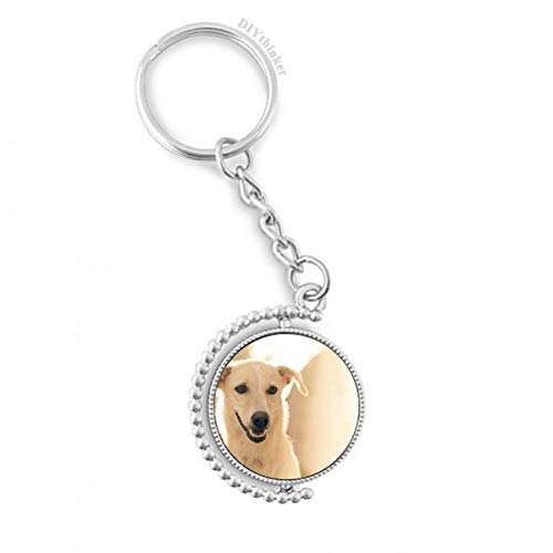 Porte-clés rotatif chien White Smile DIYthinker, une idée cadeau attentionnée