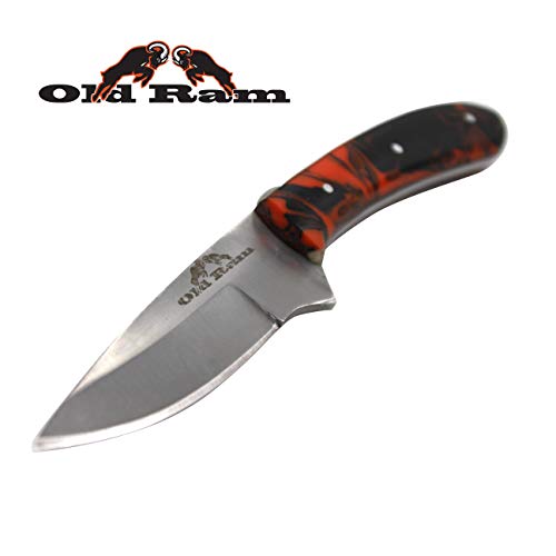 Old Ram Collection Sharp Heavy Duty Durable Fixed Blade Hunting Skinner Knife w/Leather Sheath (503RP)