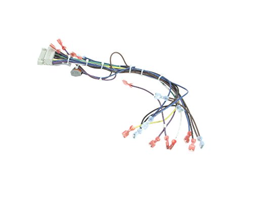 Blodgett 39235 2 Speed Control Harness, Sh1G/Zephg