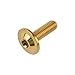 Wanyifa Titanium Torx Head M6 x15 20mm Bolt Screw for Bicycle Motorcycle Car Modification Pack of 6 (Gold, M6x20mm)