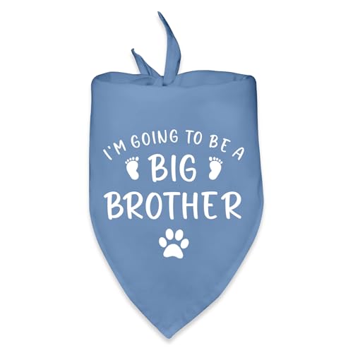 Dog Bandana Pregnancy Announcement - Big Brother Reveal
