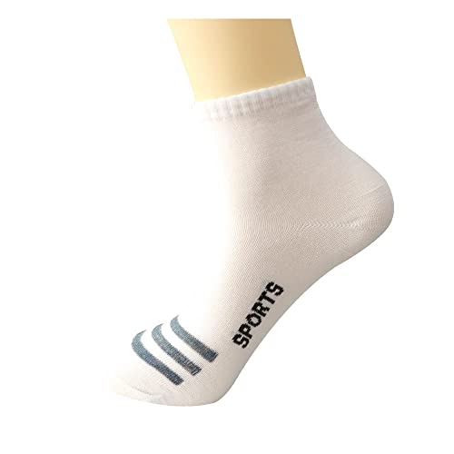 Image of LOTUS Women Quarter Crew Cotton Heel Athletic Running Cushion Breathable Moisture Control Mesh Ventilating Comfort Fit Everyday Socks (3 Pairs)