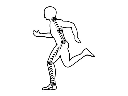 Pedag PRO-Active XCO Extra Cushioning Orthotic for All Weight Bearing Sports and Other Activities, Women's 11/Men's 8