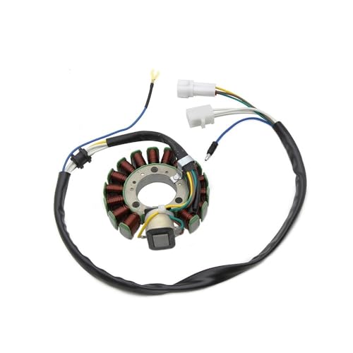 Stator d'allumage pour Yamaha XT225 Serow 2001-2007 et TTR225 moto