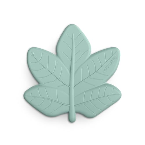 Suavinex, Anneau Dentition Bébé, en Silicone Monobloc, Doux et Flexible, Sûr, Calme et Soulage les Gencives, Prise en Main Facile et Ergonomique, Texture et Reliefs, Fôret, Poetry, Vert