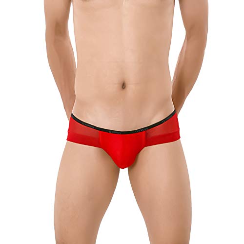 Sexy Transparent Ultra Thin Mesh Men's Bikini Pants Large Size See-through Briefs Men's Shorts Underwear