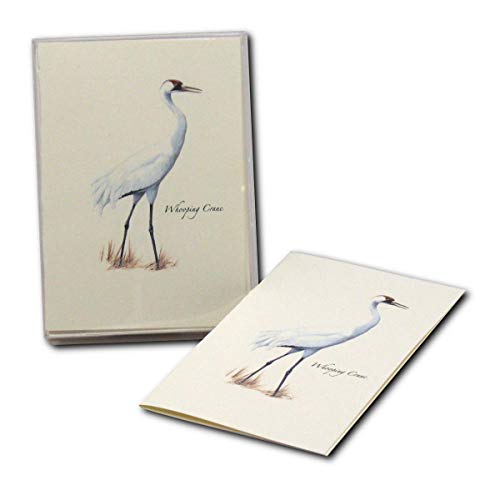 Image of Earth Sky + Water - Whooping Crane Notecard Set - 8 Blank Cards with Envelopes