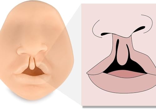 Simulateur de formation de suture labiale 3D haute fidélité - 3