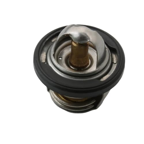 Thermo unit for 250 300 2 250cc 300cc 758660 pièce refroidissement