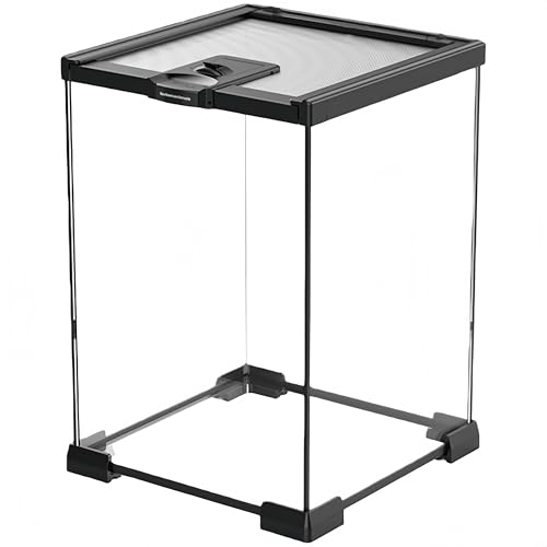 ঒��� �P�[�W ���^ �K���X�� �g�J�Q �J�� �J�G�� �w�r �n���X�^�[ ����P�[�X �e�����E�� �������� �u���b�N�t���[�� ���� �ʋC�� �ώ@���₷�� ����e�� (����,20*20*30cm)