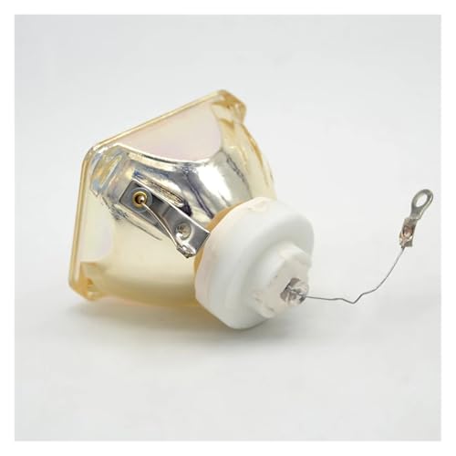 XUJIEE Bombilla de proyector LMP-C162 for VPL-CS21 VPL-CX21/VPL-CX20/VPL-ES3/VPL-EX4
